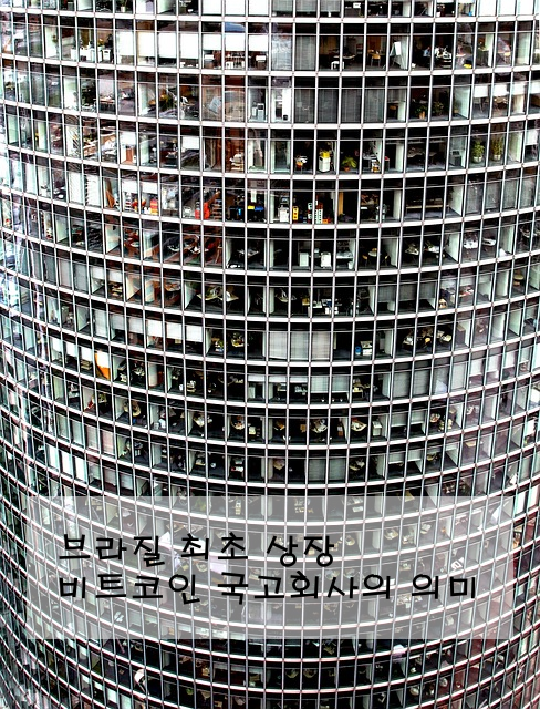 브라질 최초 상장 비트코인 국고회사의 의미