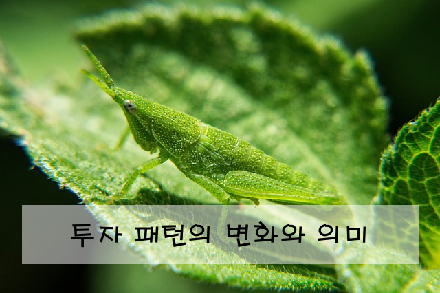 투자 패턴의 변화와 의미