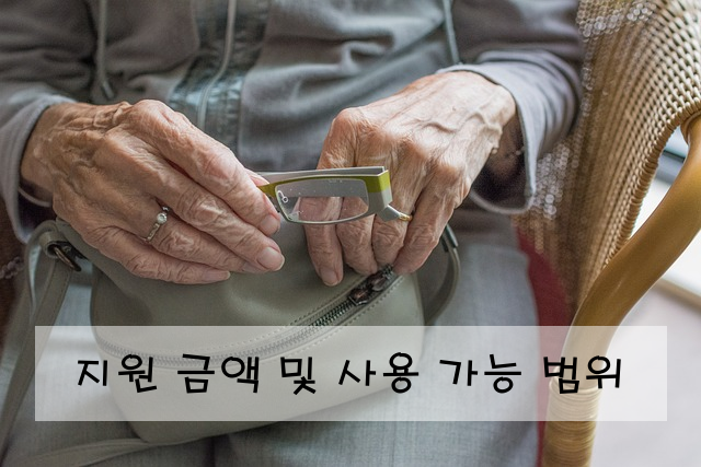 지원 금액 및 사용 가능 범위