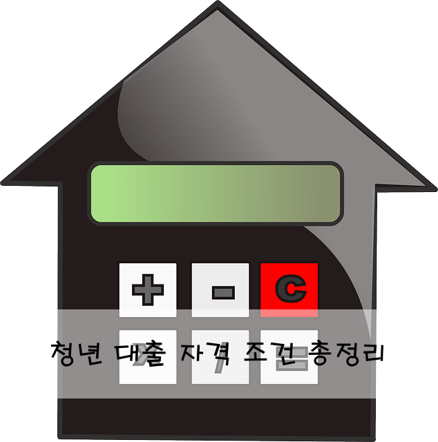 청년 대출 자격 조건 총정리