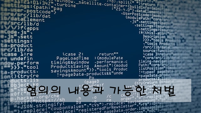 혐의의 내용과 가능한 처벌
