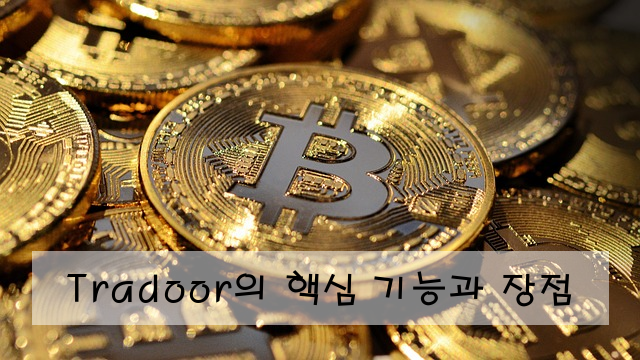 Tradoor의 핵심 기능과 장점