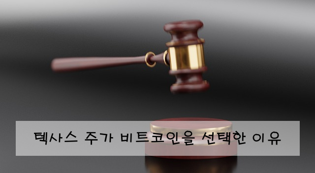 텍사스 주가 비트코인을 선택한 이유