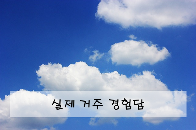 실제 거주 경험담