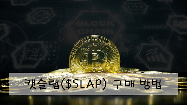 캣슬랩($SLAP) 구매 방법