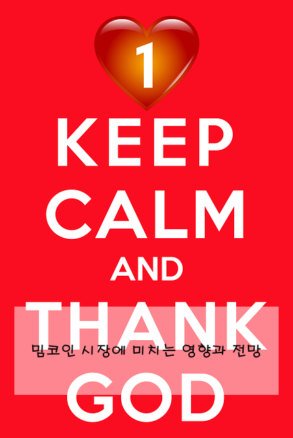 밈코인 시장에 미치는 영향과 전망