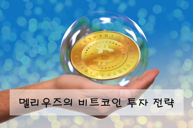 멜리우즈의 비트코인 투자 전략