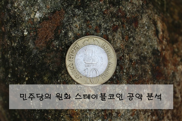 민주당의 원화 스테이블코인 공약 분석