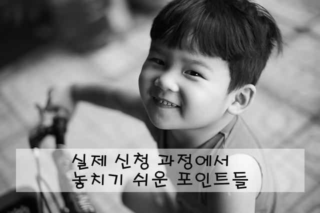 실제 신청 과정에서 놓치기 쉬운 포인트들