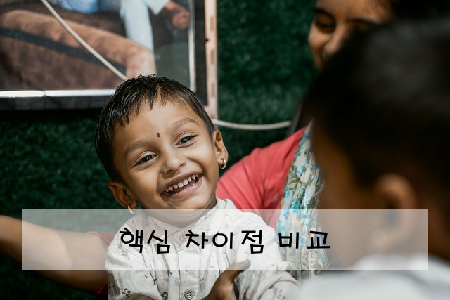 핵심 차이점 비교