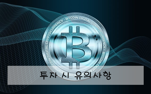 투자 시 유의사항