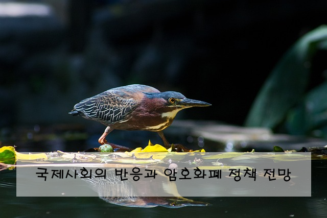 국제사회의 반응과 암호화폐 정책 전망