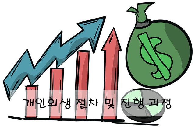 개인회생 절차 및 진행 과정