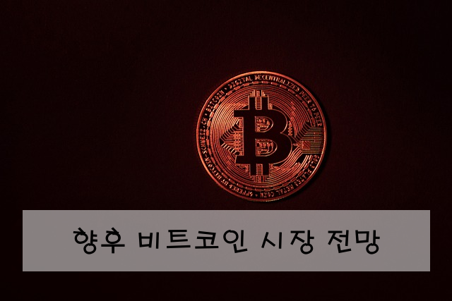 향후 비트코인 시장 전망