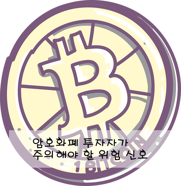 암호화폐 투자자가 주의해야 할 위험 신호