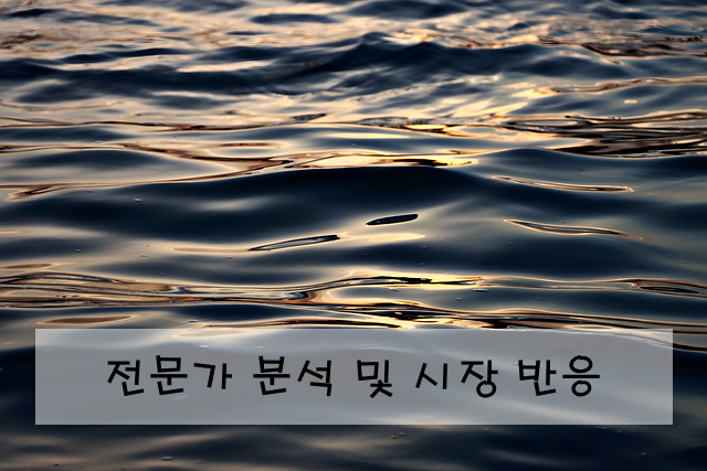 전문가 분석 및 시장 반응