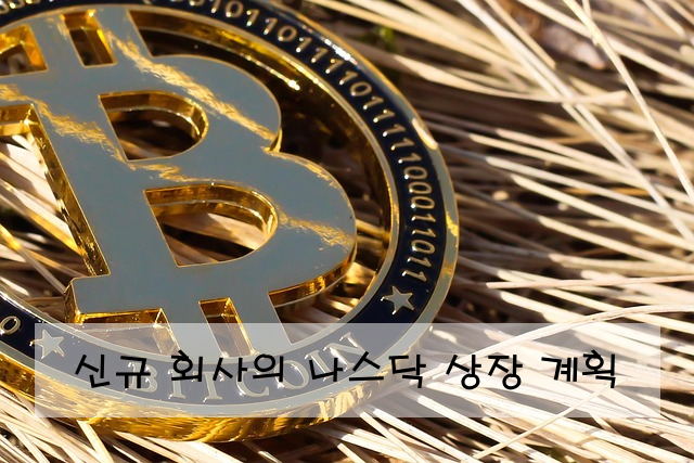 신규 회사의 나스닥 상장 계획