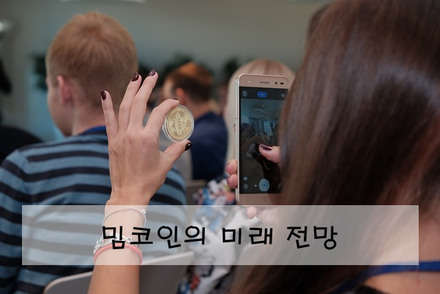 밈코인의 미래 전망