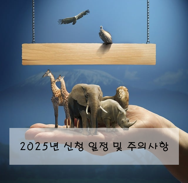2025년 신청 일정 및 주의사항