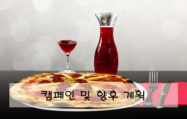 캠페인 및 향후 계획