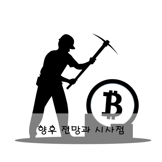 향후 전망과 시사점