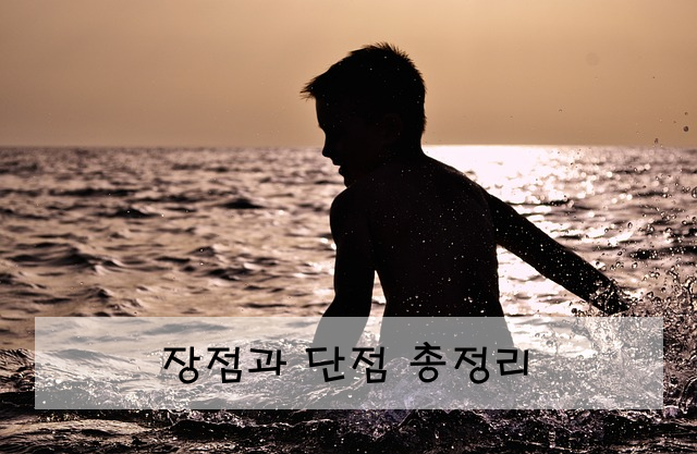 장점과 단점 총정리