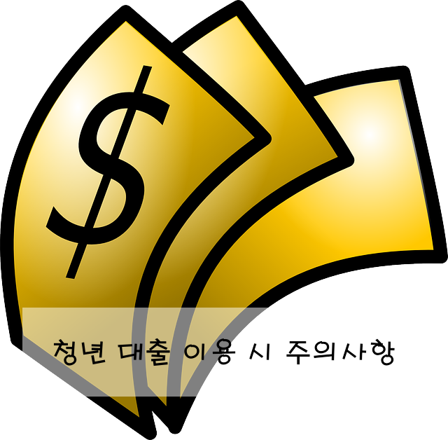 청년 대출 이용 시 주의사항