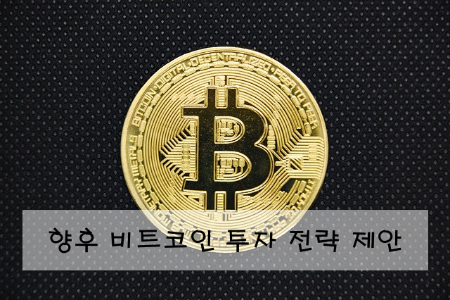 향후 비트코인 투자 전략 제안