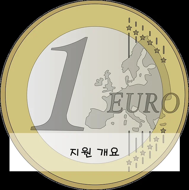 지원 개요