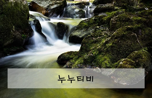누누티비