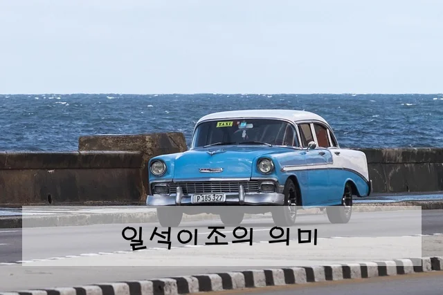 일석이조의 의미