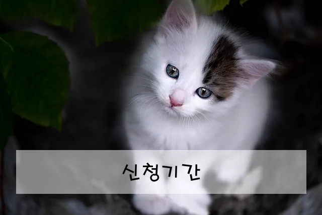 신청기간