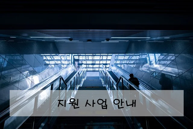 지원 사업 안내