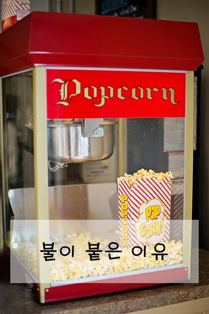 불이 붙은 이유