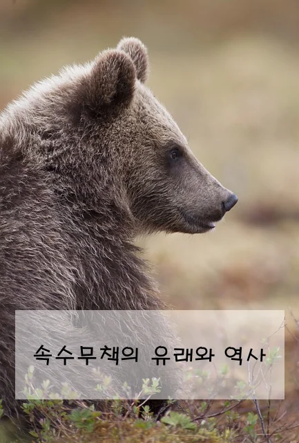 속수무책의 유래와 역사