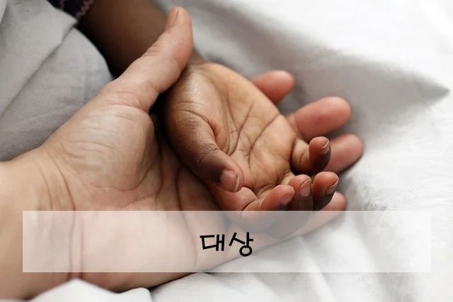 대상