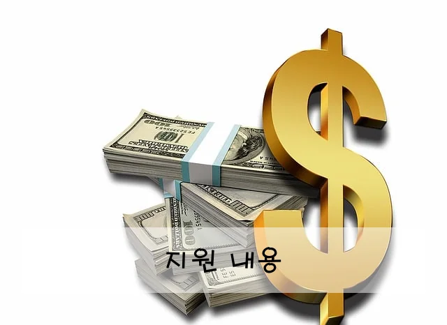 지원 내용