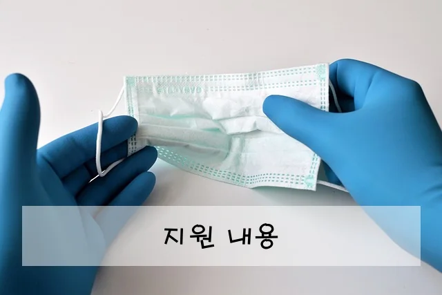 지원 내용