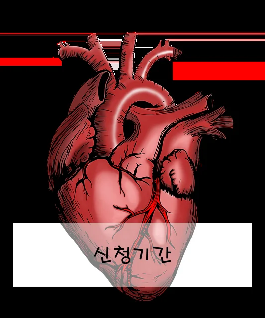 신청기간