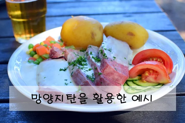 망양지탄을 활용한 예시