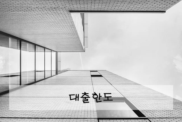 대출한도