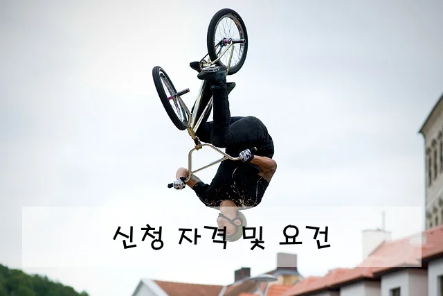 신청 자격 및 요건
