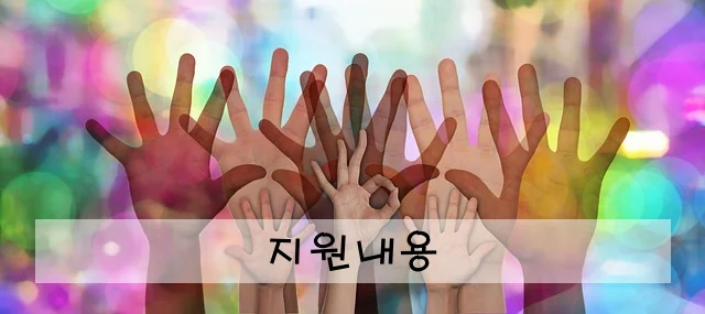 지원내용