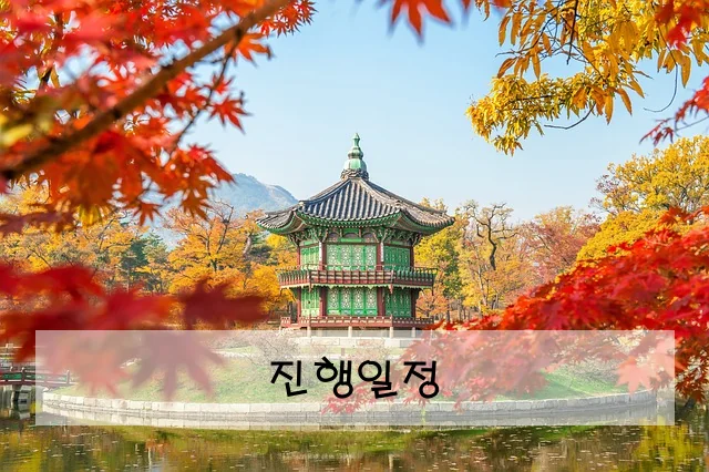 진행일정