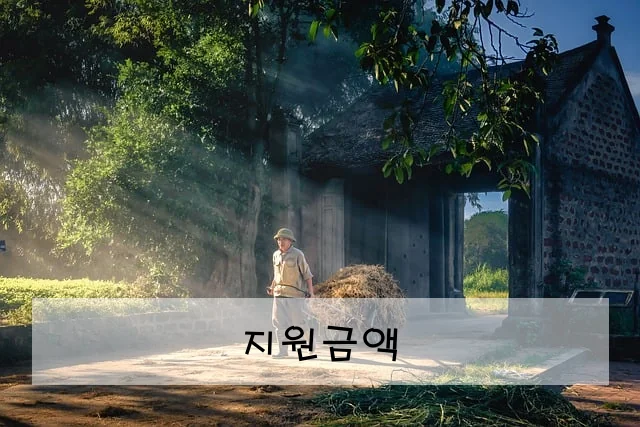 지원금액