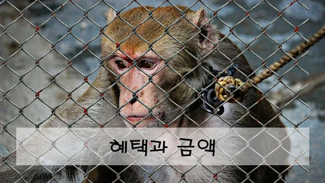 혜택과 금액