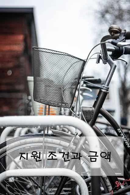 지원 조건과 금액