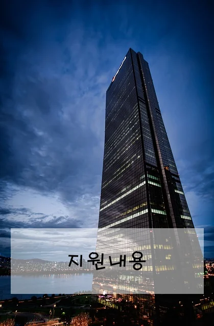 지원내용
