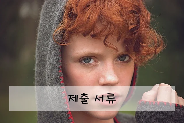 제출 서류