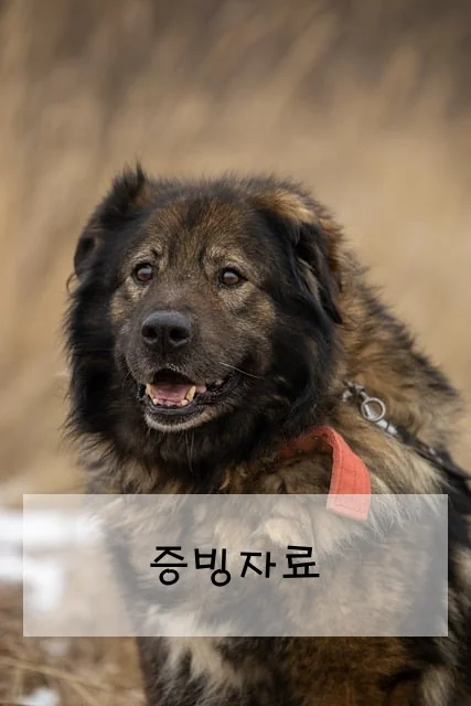 증빙자료